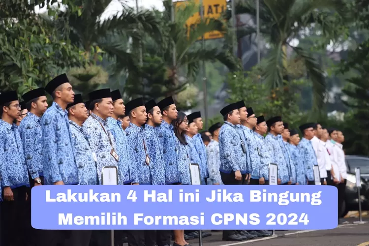 Bingung Pilih Formasi CPNS 2024? Berikut 4 Tips Yang Bisa Dicoba, Mulai ...