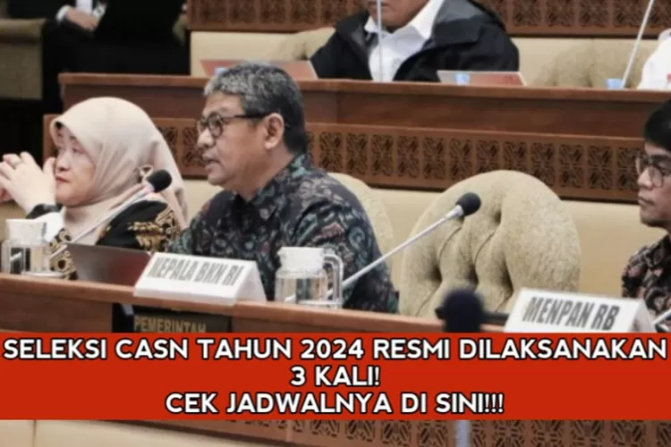 Resmi Dari BKN: Seleksi CASN Tahun 2024 Dilaksanakan Sebanyak 3 Kali ...