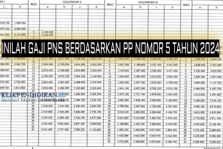 PP Nomor 5 Tahun 2024 Tentang Gaji PNS Terbaru Resmi Terbit, PNS