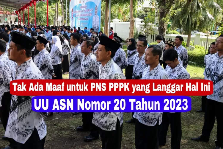 Tak Termaafkan Pns Dan Pppk Yang Lakukan Ini Pasti Diberhentikan Sesuai Uu Asn Nomor 20 Tahun 9641