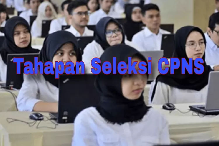 WAJIB TAHU! Tahapan Dalam Seleksi CPNS Bulan Maret Tahun 2024, Kamu ...