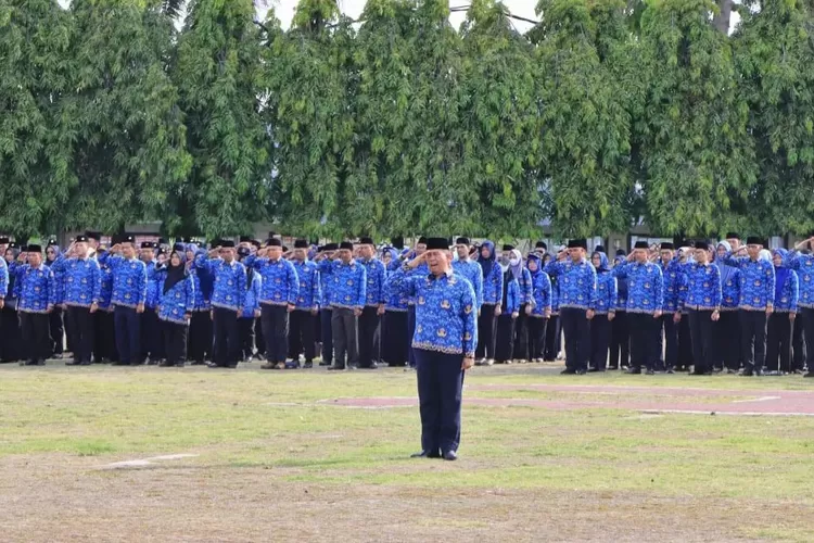 Penantian Pensiunan Pns Selesai Berikut Daftar Gaji Terbaru Sesuai Pp