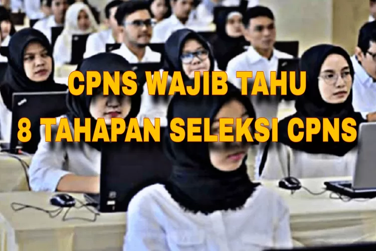 Peserta Cpns Wajib Tahu Tahapan Proses Seleksi Cpns Yang Dilakukan Oleh Badan Kepegawaian