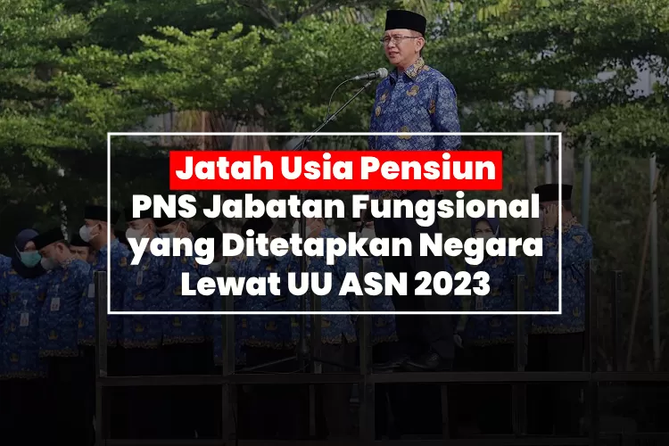 PNS PPPK Jabatan Fungsional Dapat Jatah Usia Pensiun Dari UU ASN No 20 ...