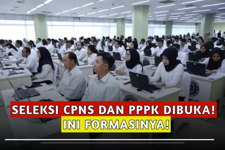 Seleksi CPNS Dan PPPK 2024 Segera Dibuka, Inilah Formasi Yang Disiapkan ...