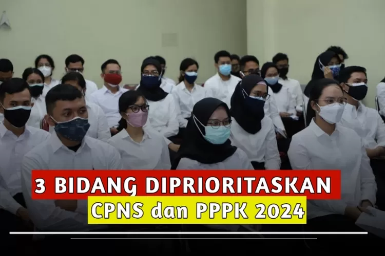 3 Bidang Diutamakan Dalam Seleksi CPNS Dan PPPK 2024 Periode 1 ...