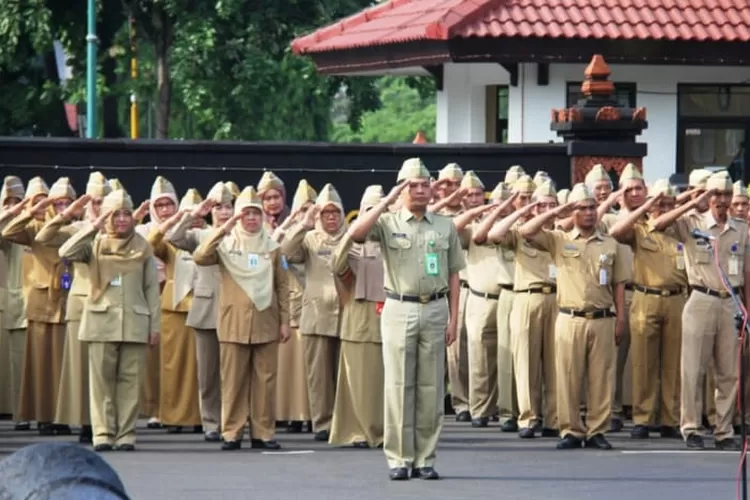 Honorer Bodong Jangan Harap Diangkat Pppk Pemerintah Dan Dpr Telah Sepakat Honorer Akan