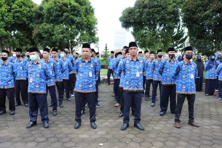 Tenaga Honorer Tidak Bisa Langsung Diangkat Jadi PPPK Tahun 2024, Ini ...