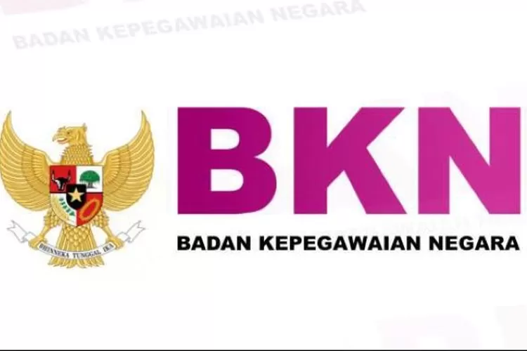 ILUSTRASI penerimaan PPPK dan CPNS 2024 (bkn.go.id)