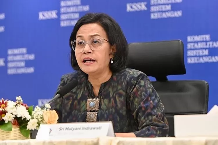 STANDAR GAJI BARU TENAGA HONORER TAHUN 2024 YANG DISAHKAN SRI MULYANI ...