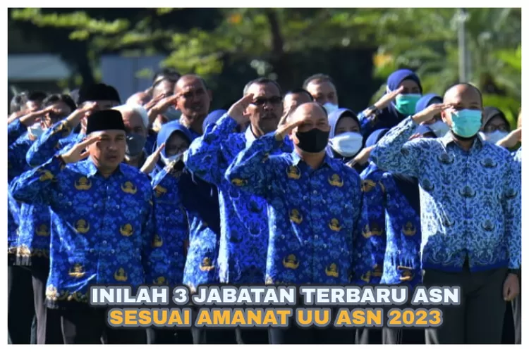 Tok Uu Asn 2023 Telah Disahkan Inilah 3 Jabatan Terbaru Aparatur