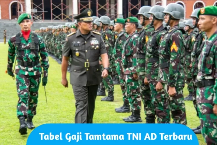 Jokowi Sudah Tetapkan Inilah Daftar Gaji Tni Ad Pangkat Tamtama Pada