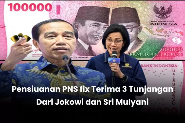 Jokowi Dan Sri Mulyani Sepakat Akan Berikan 3 Tunjangan Ini Bagi ...