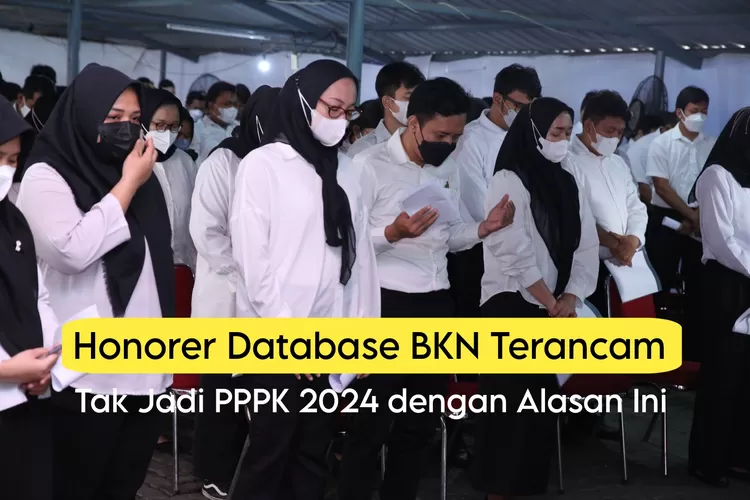 Meski Telah Dijamin UU ASN, Honorer Database BKN Tak Semuanya Jadi PPPK ...