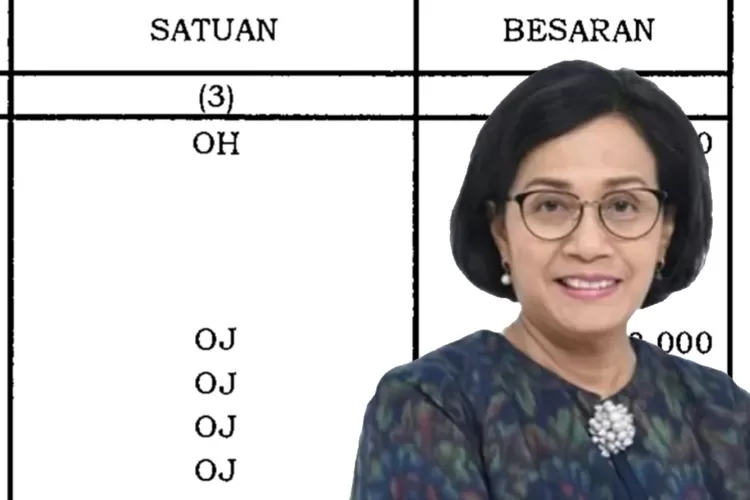 Resmi Diubah Sri Mulyani Inilah Tabel Kenaikan Tunjangan Tambahan Bagi Pns Golongan I Ii Iii Iv