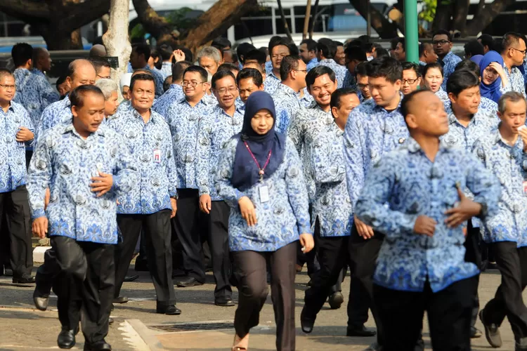 Syukurlah Mendagri Resmi Setarakan Jenis Pakaian Dinas Pns Dan Pppk Seindonesia Jadi Warna