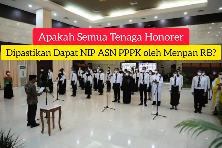 Pp Turunan Uu Asn Segera Terbit Benarkah Semua Honorer Dapat Nip Asn