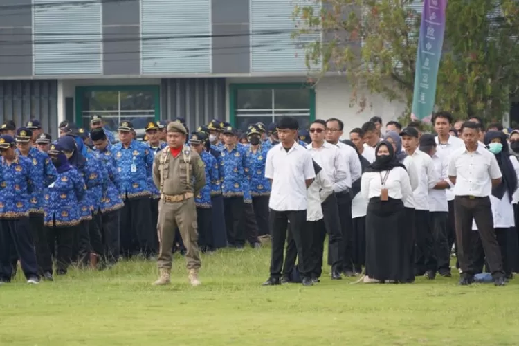 Tenaga Honorer Kategori Ini Bakal Mempunyai Penghasilan Baru Tahun