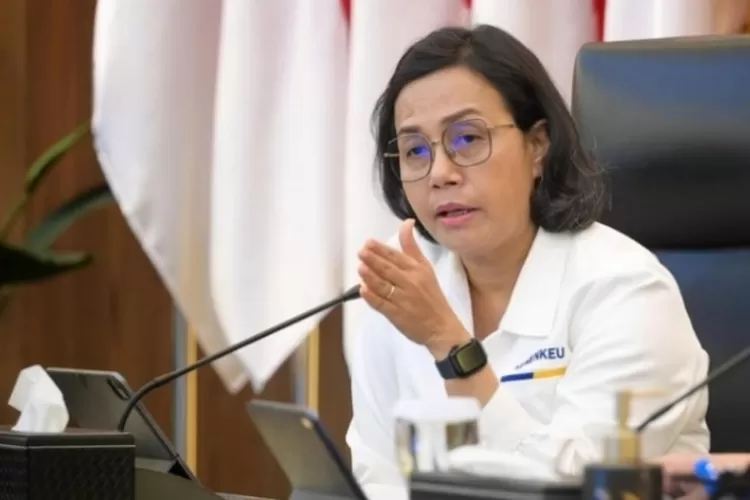 Di Luar Gaji Sri Mulyani Cairkan Uang Tambahan Untuk Pns Golongan I Iv Yang Aktif Segini