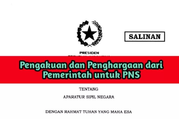 Untuk Peserta Cpns Yang Lolos Seleksi Pemerintah Sudah Siapkan Penghargaan Dan Pengakuan