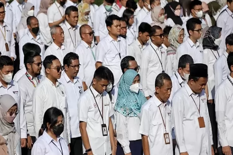 Apakah honorer non ASN yang tidak terdaftar di database BKN dan gagal CPNS masih punya peluang jadi P3K? Temukan jawabannya di sini!&nbsp; (menpan.go.id)