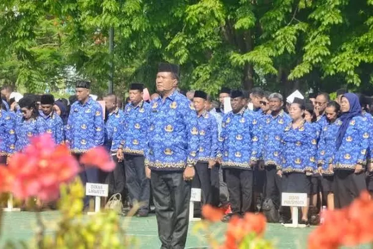 Ilustrasi pns (bkdnttpr)