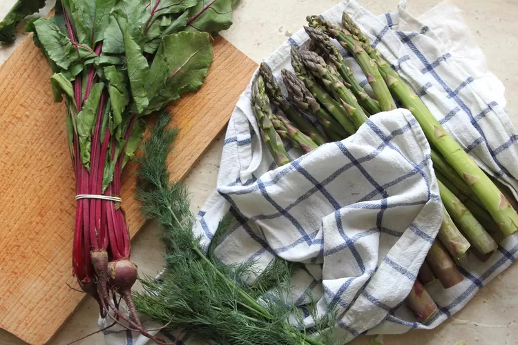 Trik Mencuci Lap Dapur Berminyak Agar Bersih Kesat Seperti Baru Tak Perlu Disikat Tapi Lakukan