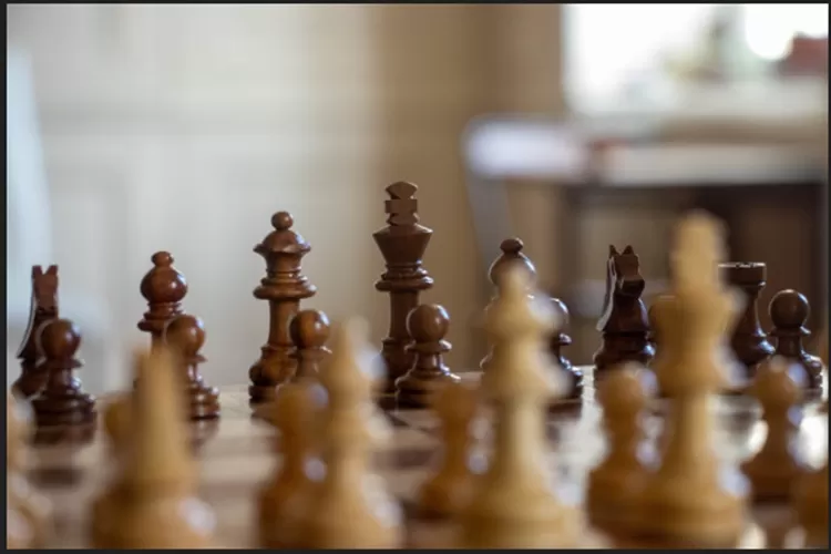 Ilustrasi catur (pixabay)