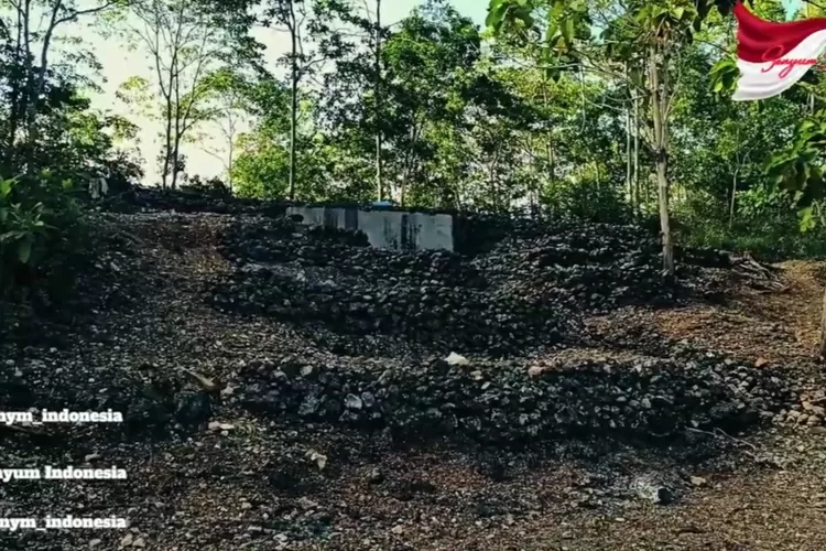 Berada Di Puncak Perbukitan, Sebanyak 20 Lokasi Bunker Ini Jadi Bukti ...