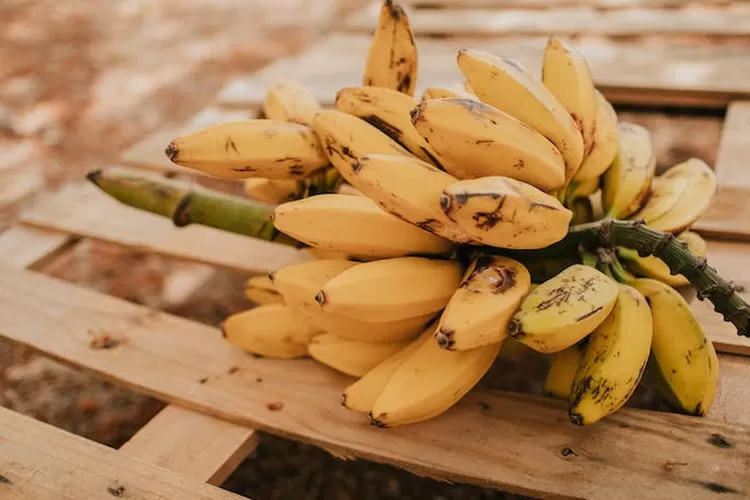 Buah Apa Yang Bikin Bingung Apakah Itu Ternyata Ini Jawaban Tebak Tebakan Atau Teka Teki Jokes 4063