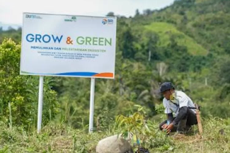 BRI Menanam Grow &amp; Green Salurkan 15 Ribu Bibit Tanaman Produktif untuk Atasi Lahan Kritis