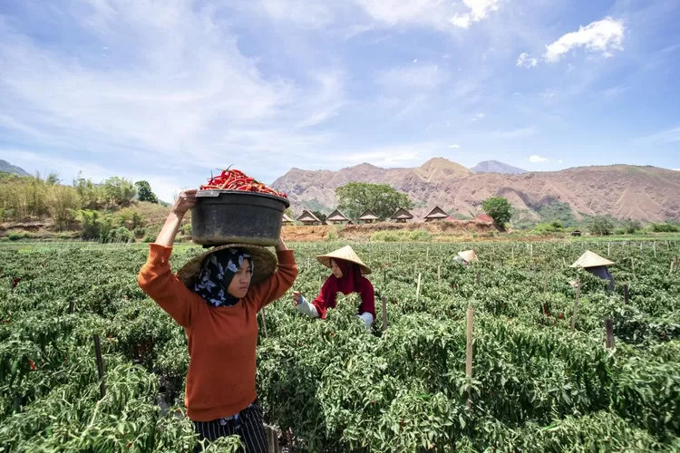 Portofolio Berkelanjutan BRI Selaras ESG, Kredit Capai Rp793,6 Triliun