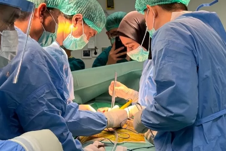 Ginjal merupakan salah satu perkembangan signifikan dalam dunia medis yang bertujuan untuk menyelamatkan nyawa pasien dengan gagal ginjal kronis.*