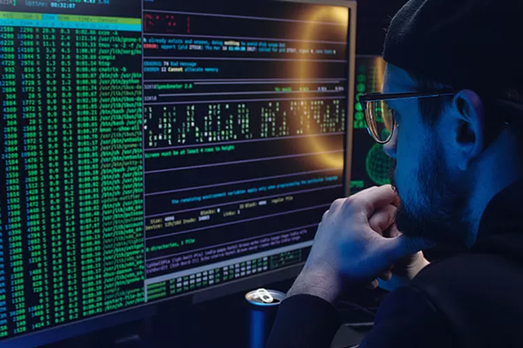 Illustrasi Data (Pexels/Mikhail Nilov)