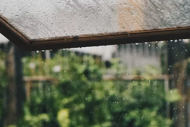 Prediksi puncak musim hujan (https://unsplash.com/@by_syeoni)