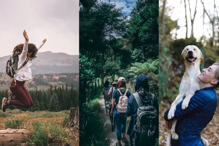 forest bathing (pexels/humprey muleba)