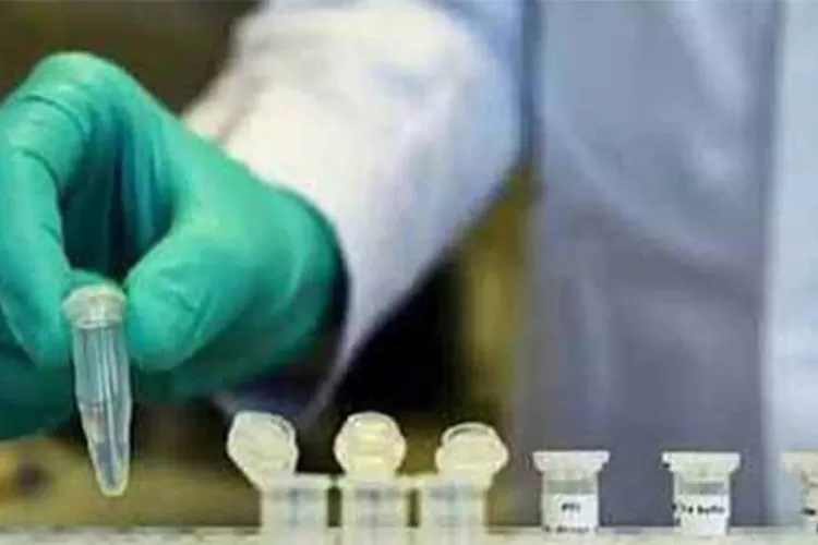 gambar vaksin (pixabay/@torstensimon)