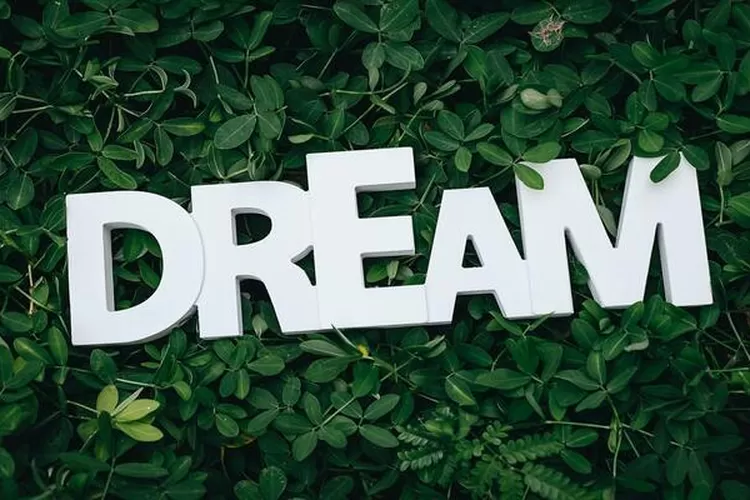 Introvert bukan alasan untuk tidak bermimpi (pexels/ Karyme Franca)