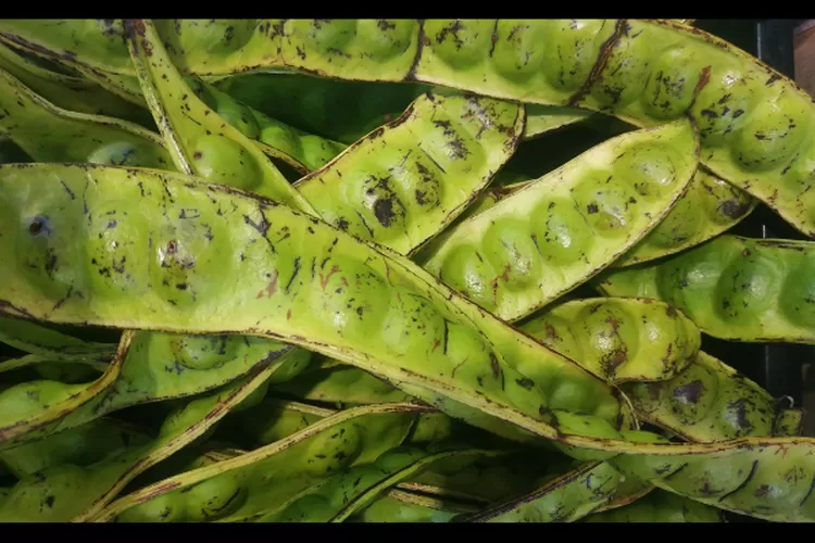 Ilustrasi petai segar yang dijual (unsplash/@murfid majnun)