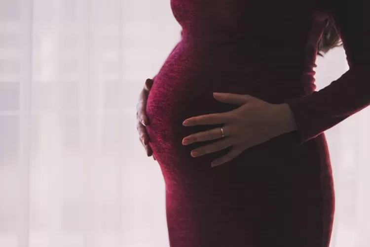 Ilustrasi kandungan yang sehat dengan makanan penyubur kandungan saat promil (Pixabay/Pexels)