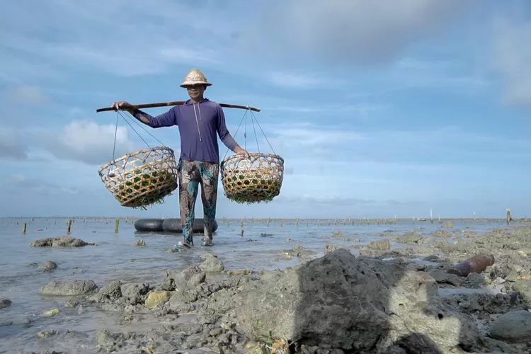 Petani rumput laut di Nusa Penida Bali (dok BRI)
