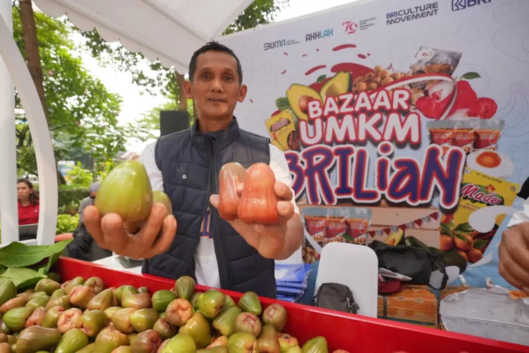 Siswadi, yang kini memiliki sekitar 150 pohon jambu citra, menceritakan pentingnya perawatan yang baik untuk mencapai hasil panen yang optimal.
