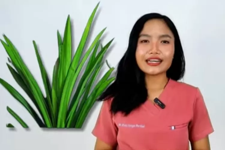 Manfaat Daun Pandan menurut Dokter Ema (Tangkap layar youtube Ema Superr)