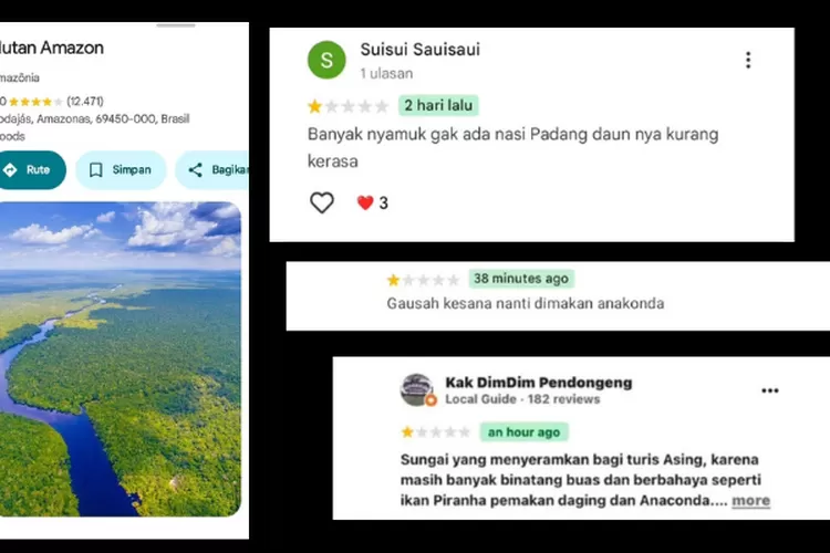 Tangkapan layar di google maps 'hutan amazon' dan beberapa komentar satir netizen indonesia