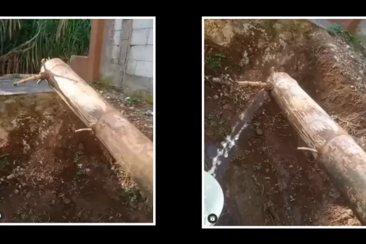 Tangkapan layar bambu petuk di cianjur