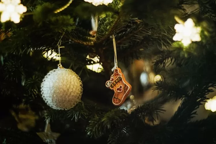 ragam persiapan natal (pixabay/helenjunk)