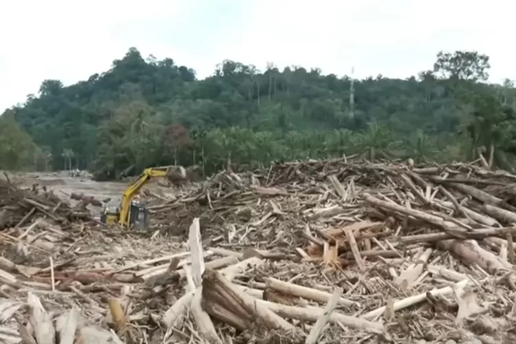 Diduga adaya upaya lindungi perusak hutan (Tangkap layar YouTube Kompas TV)