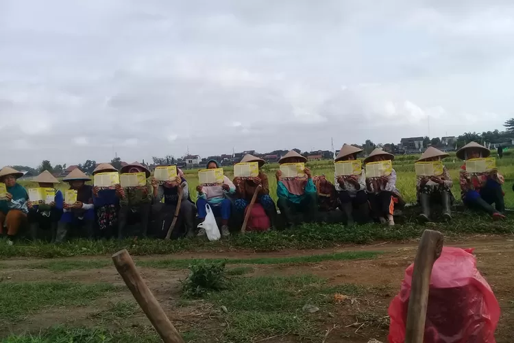 Arnanto Nurprabowo mengunjungi petani  tebu di Bantul. (foto: dokumentasi)