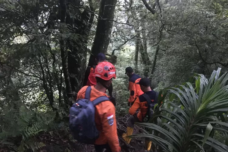 Pendaki Jatuh Ke Jurang 60 Meter Selamat Hanya Kaki Dan Tangan