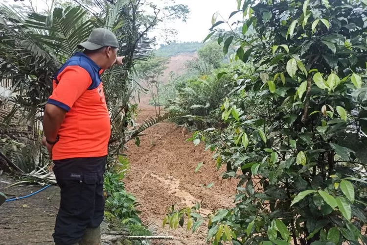 Kepala Bidang Kedaruratan dan Logistik BPBD Kabupaten Banjarnegara Andri Sulistyo menunjukkan lokasi longsor di Dusun Timbang RT 02 RW 04, Desa Nagasari, Kecamatan Pagentan, Banjarnegara, Selasa (6/2/2024) pagi.  (ANTARA/HO-BPBD Banjarnegara)